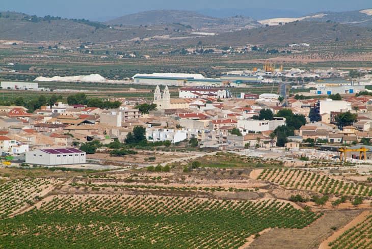 Vista de Algueña