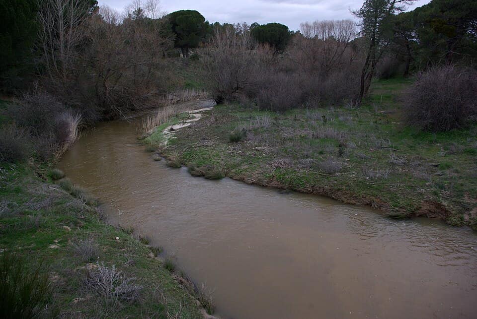 Vista de Nava de Arévalo