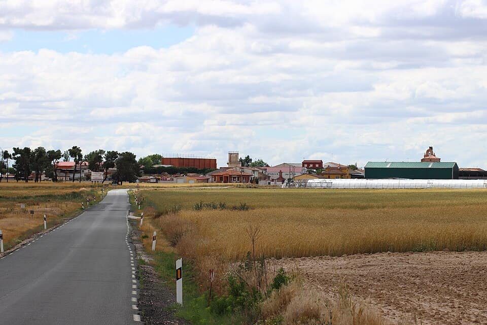 Vista de Pedro-Rodríguez