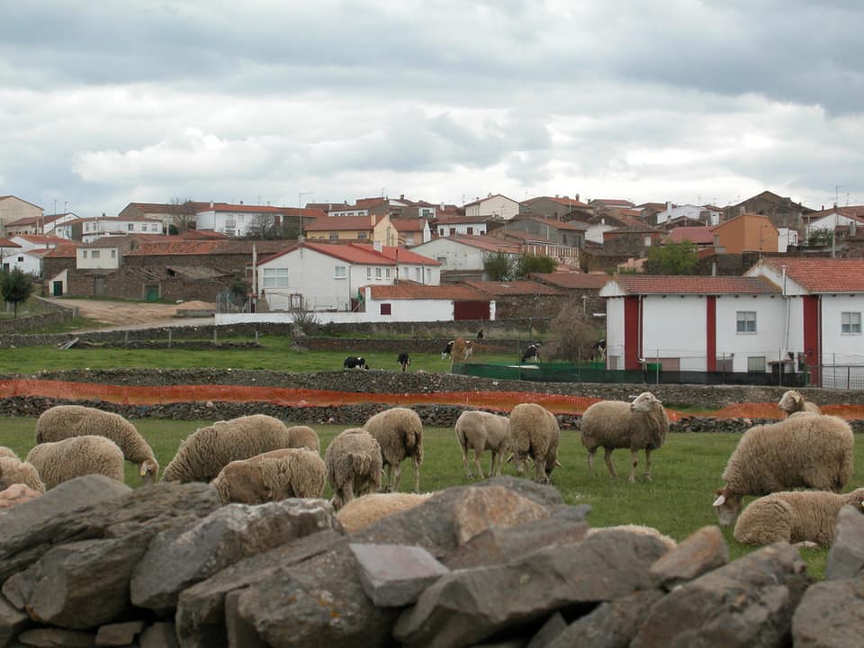 Vista de Diego del Carpio