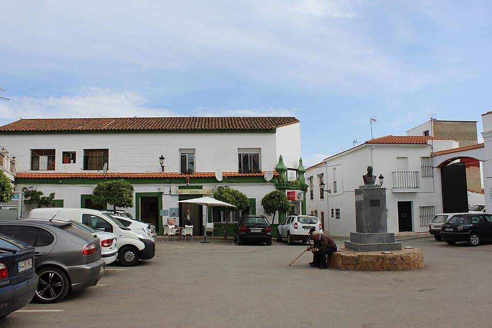 Vista de Torre de Miguel Sesmero
