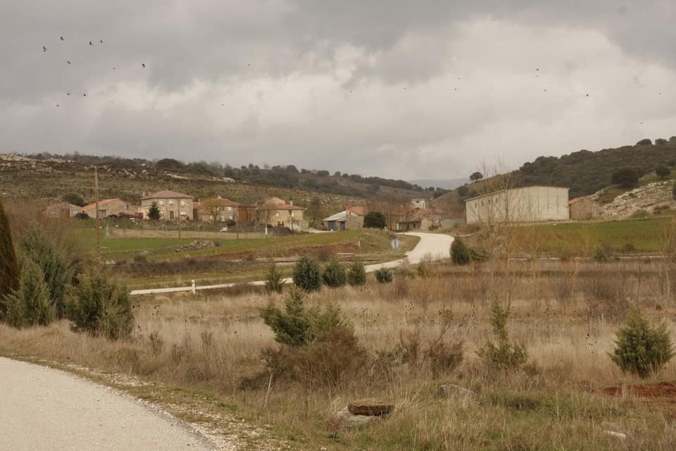 Vista de Jurisdicción de Lara