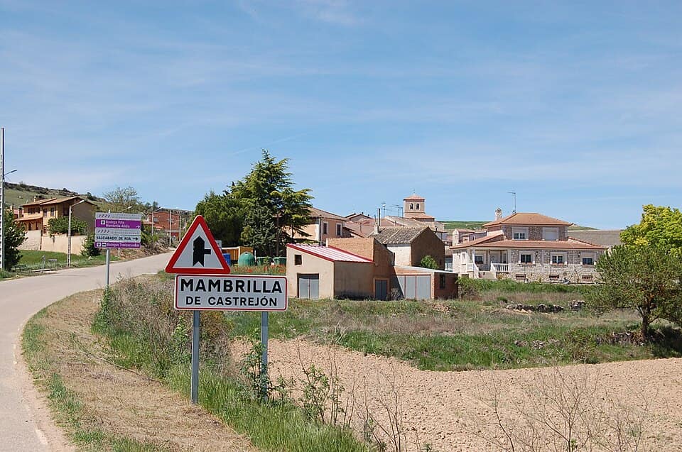 Vista de Mambrilla de Castrejón