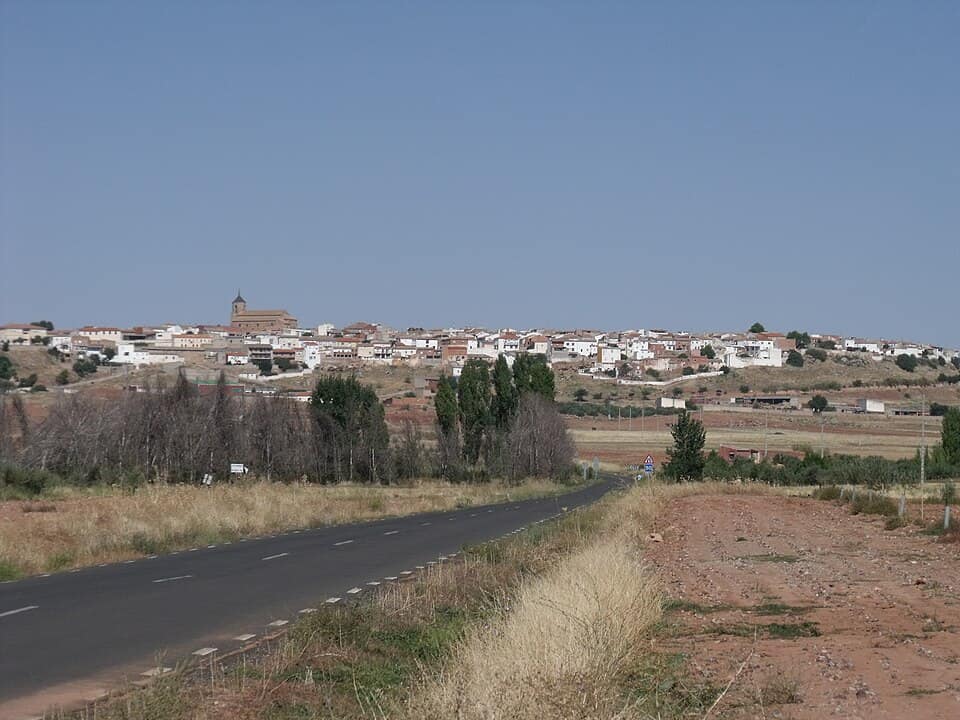 Vista de Almedina