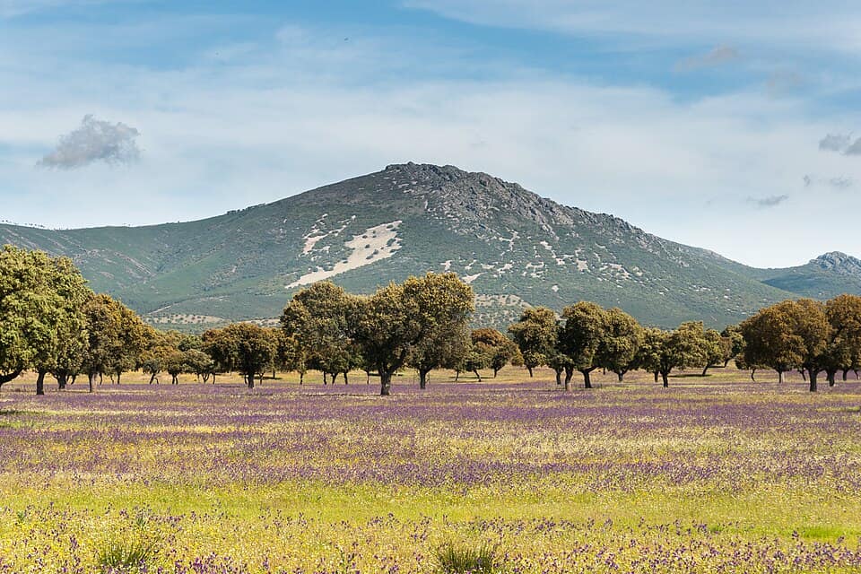 Vista de Retuerta del Bullaque