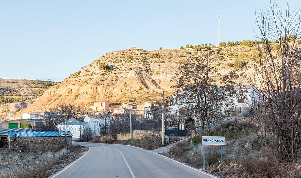 Vista de Arrancacepas