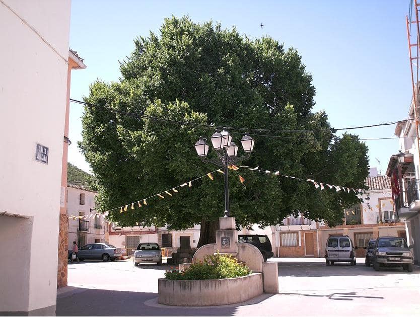 Vista de Torralba