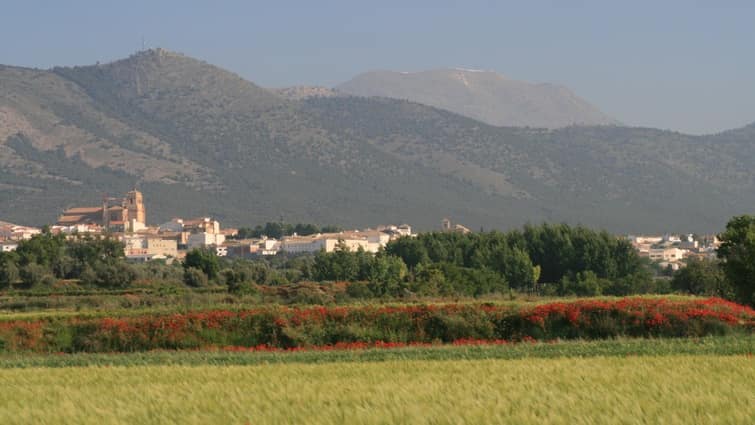 Vista de Huéscar