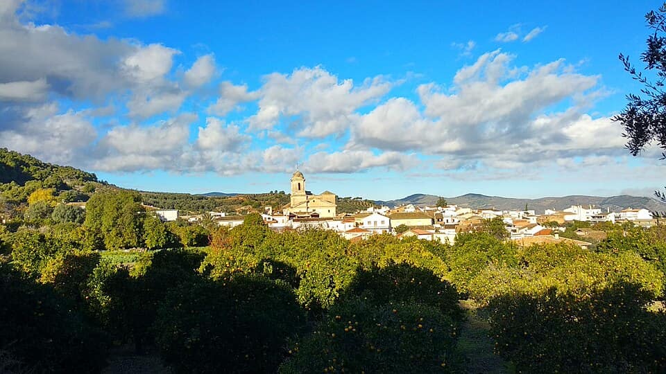 Vista de El Pinar