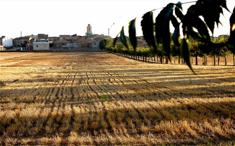 Vista de Alcampell