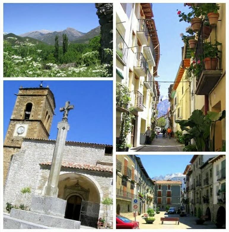Vista de Campo
