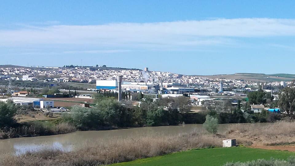 Vista de Mengíbar