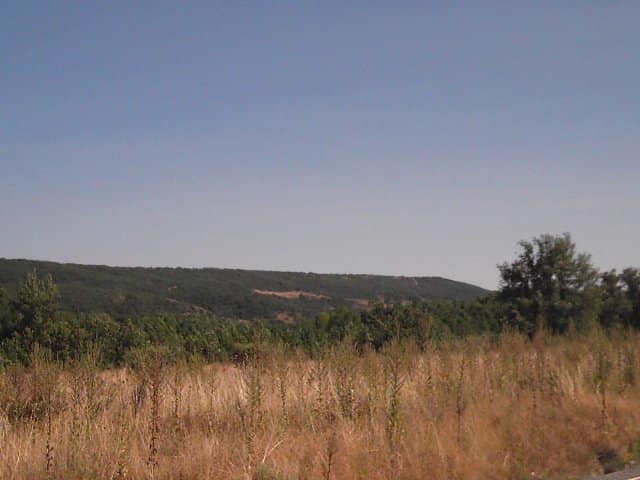 Vista de Cuadros