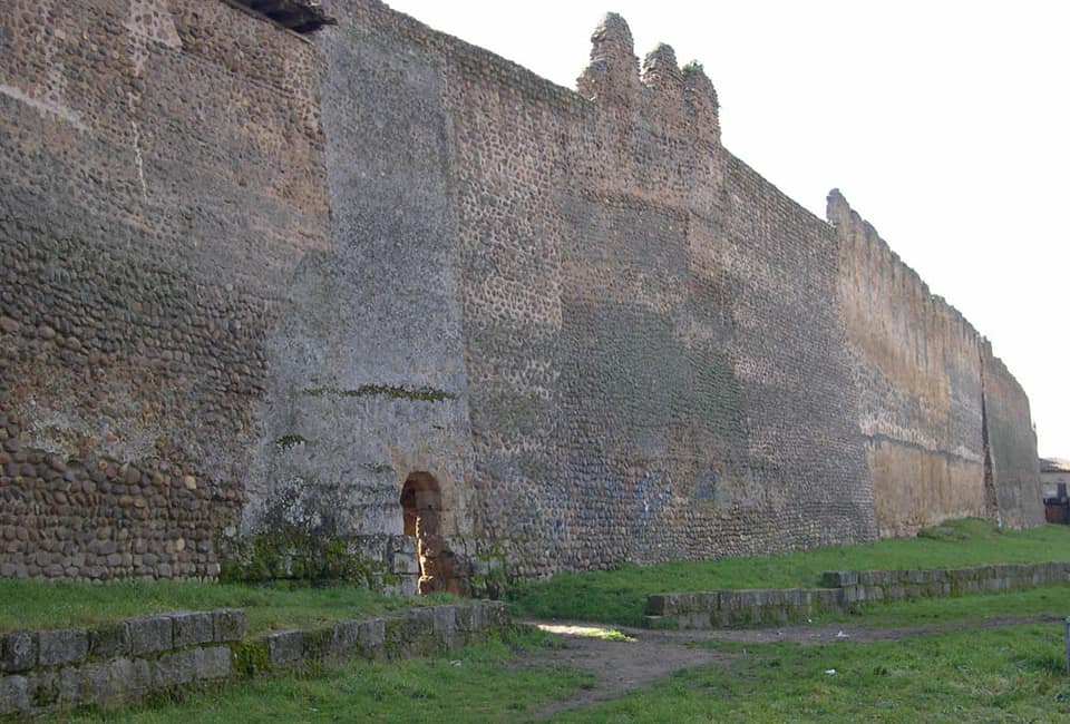 Vista de Mansilla de las Mulas