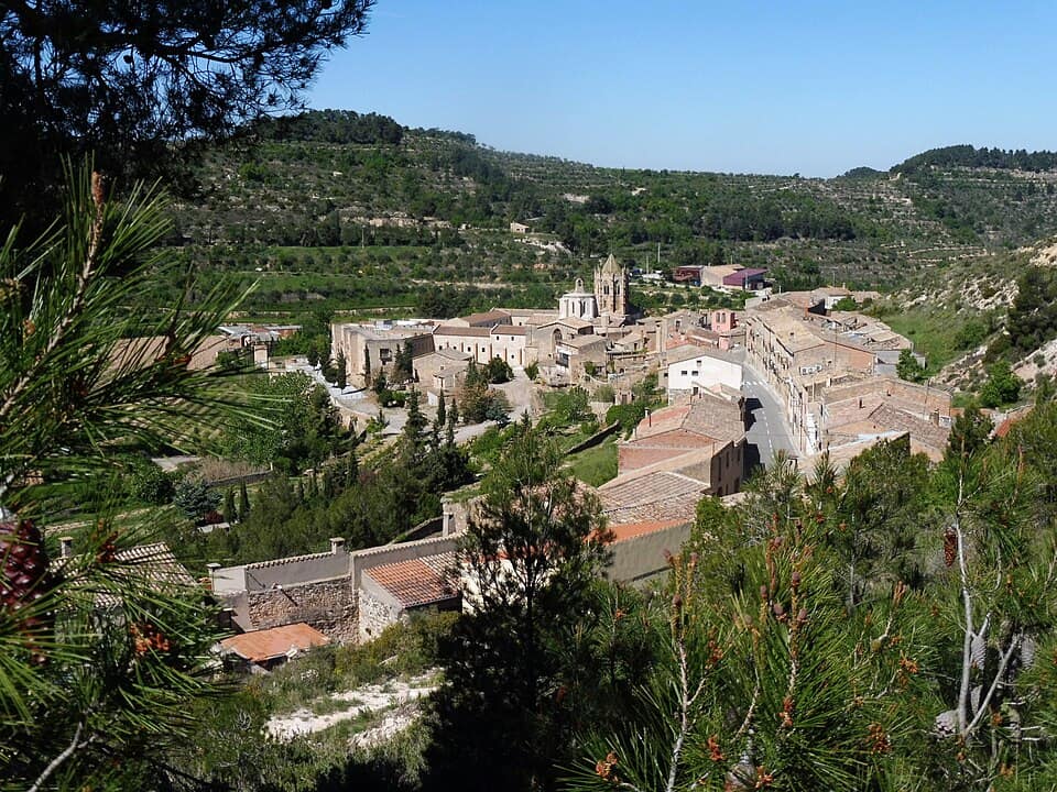 Vista de Vallbona de les Monges