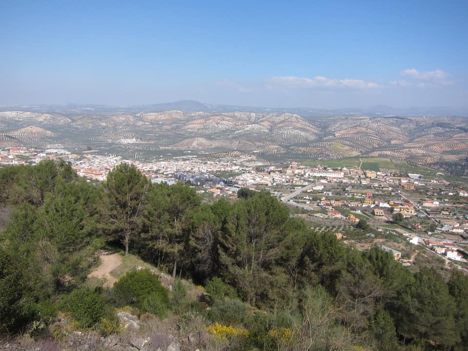 Vista de Cuevas de San Marcos
