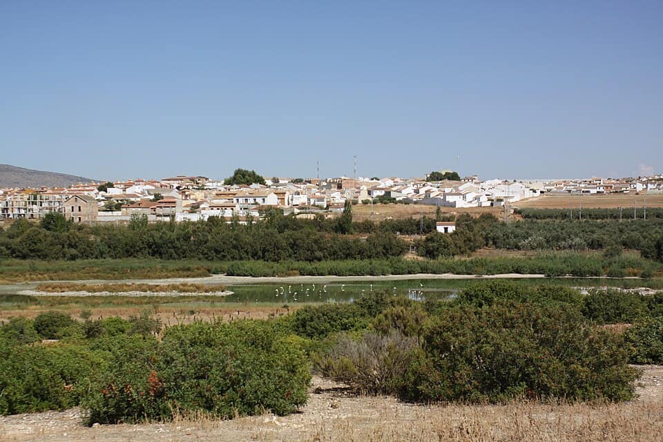 Vista de Fuente de Piedra