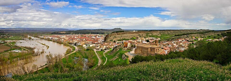 Vista de Caparroso