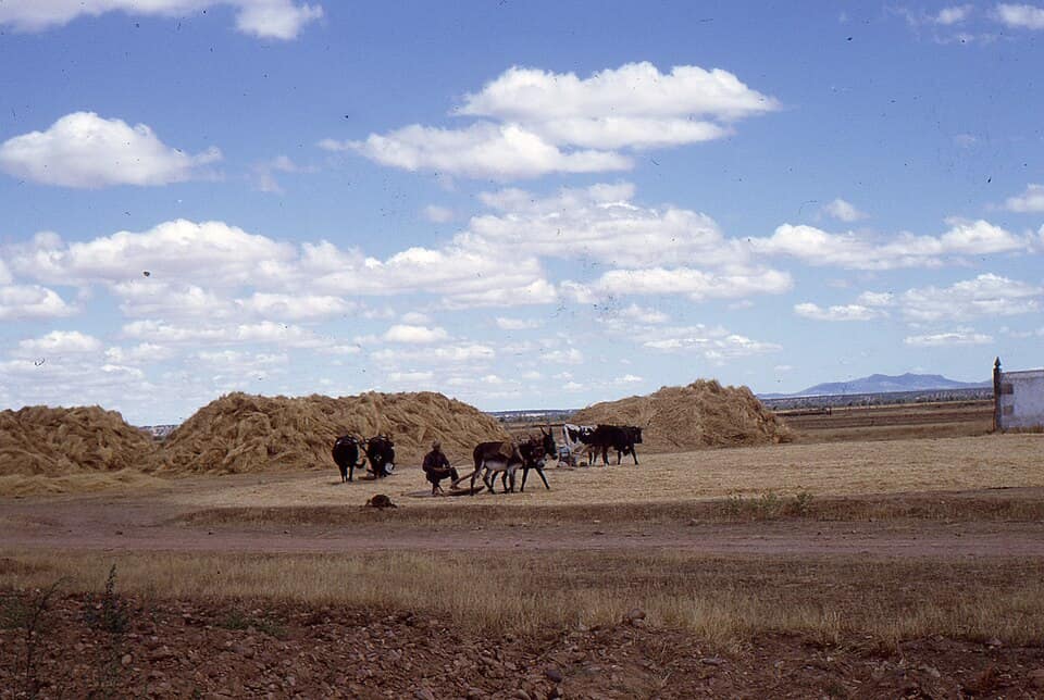 Vista de Martín de Yeltes