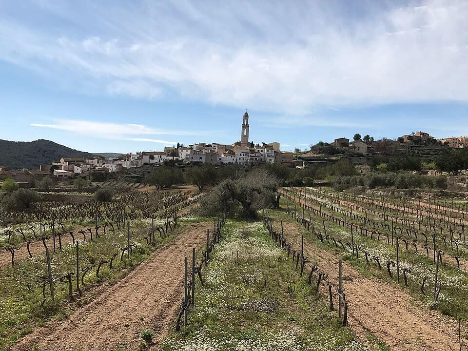 Vista de Albinyana