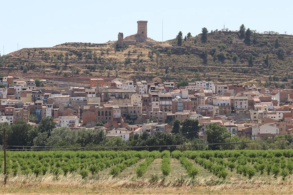 Vista de Ascó