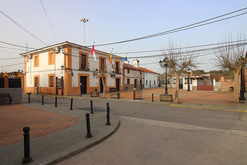Vista de Cardiel de los Montes