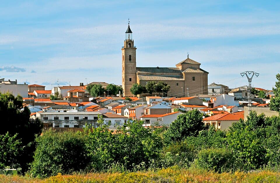 Vista de Cebolla