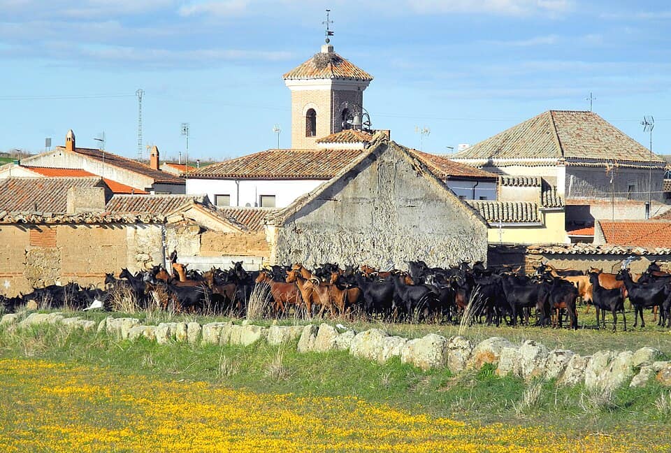 Vista de Santa Ana de Pusa