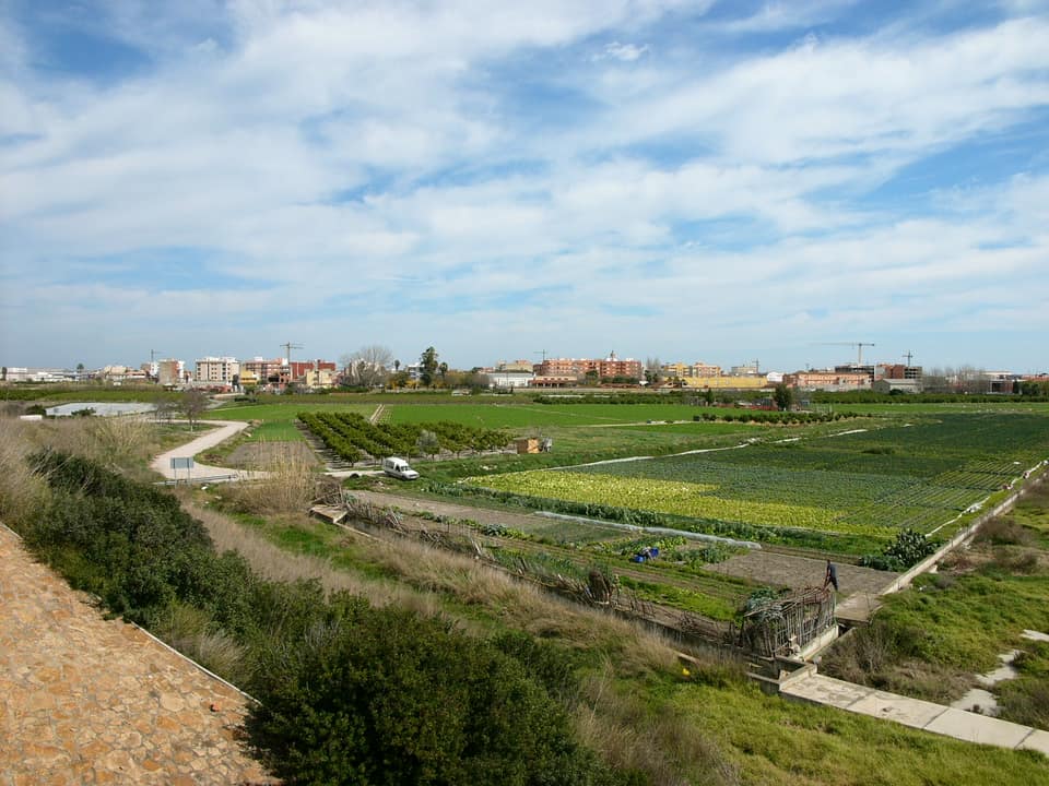 Vista de Sollana