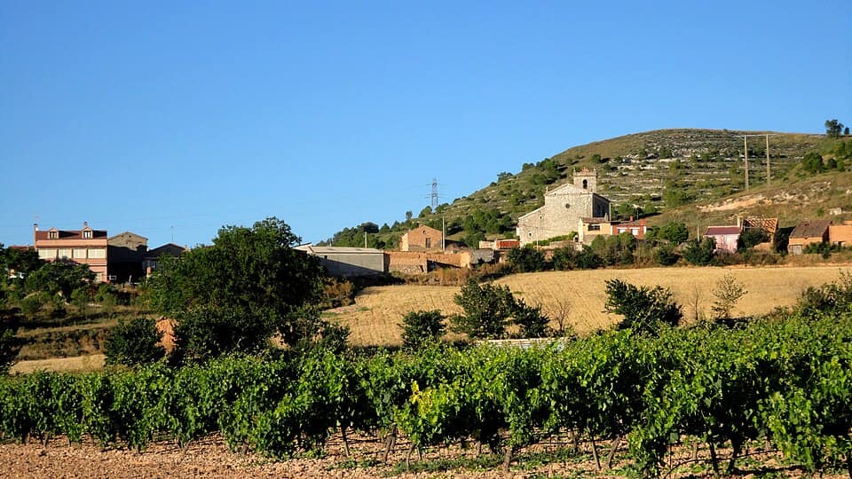 Vista de Roturas