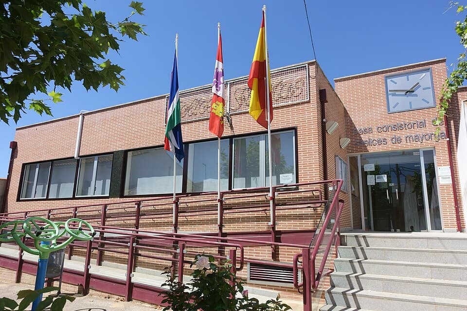Vista de Saelices de Mayorga