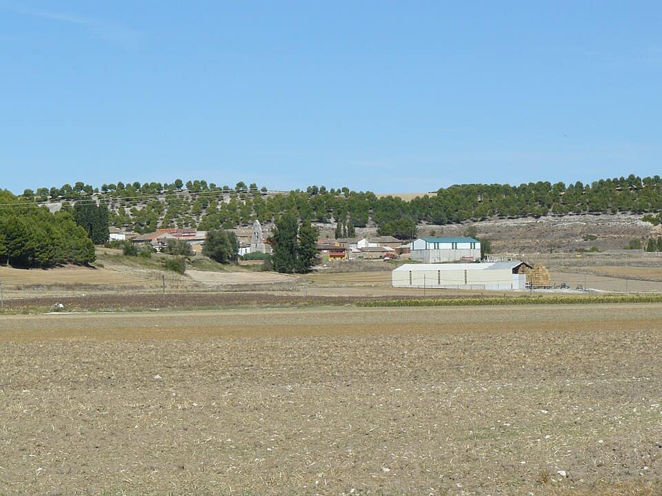 Vista de Torre de Esgueva