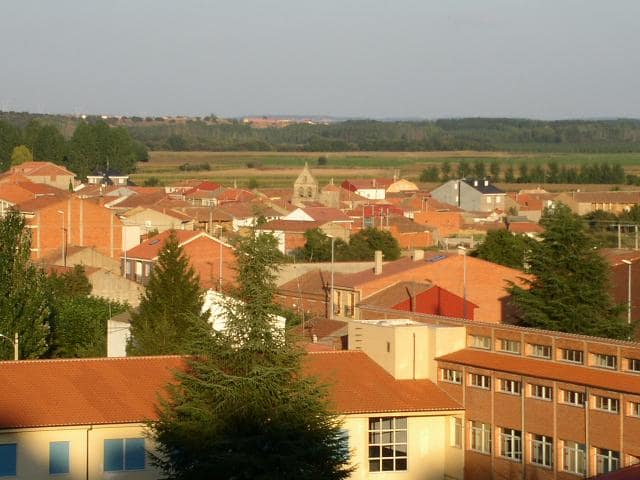 Vista de Camarzana de Tera