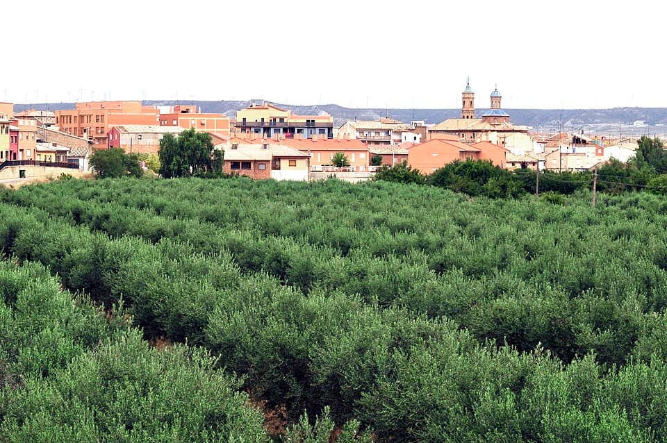 Vista de Muel