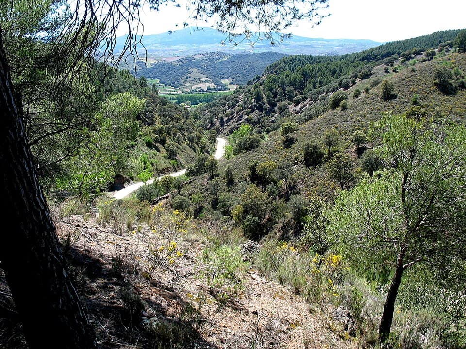 Vista de Murero