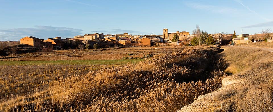 Vista de Pozuel de Ariza